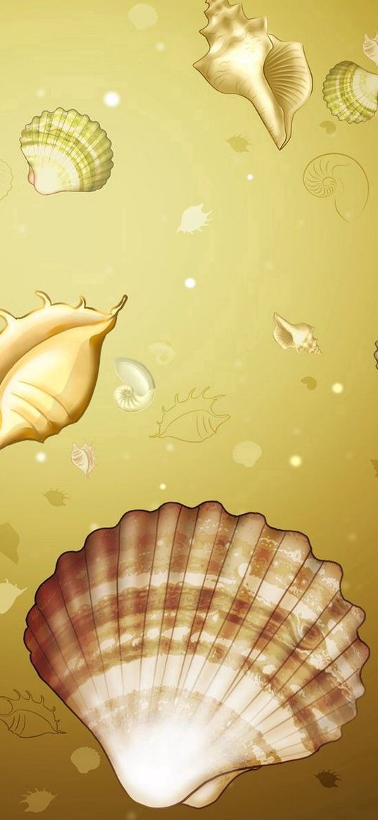 background, image, shells, color