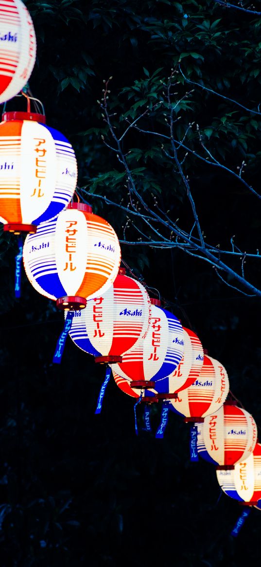 chinese lanterns, night, branches