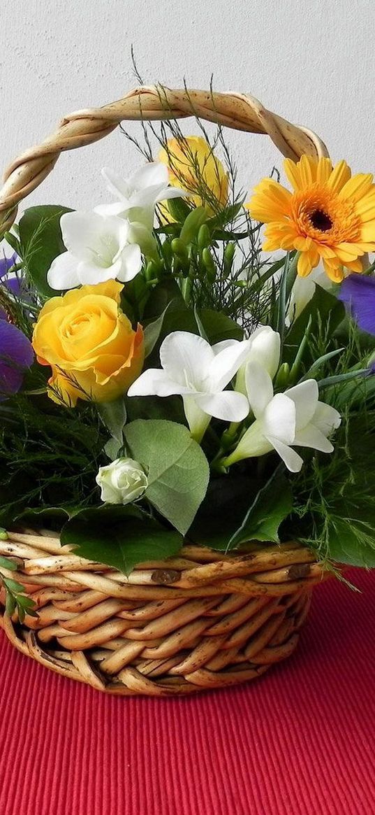 roses, gerberas, irises, leaves, song, basket