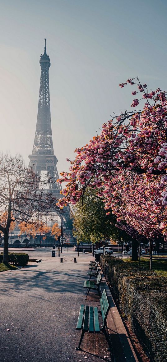 paris, spring, eiffel tower