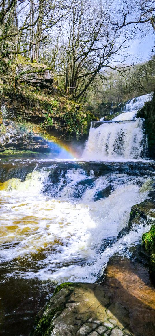 waterfall, cascade, rainbow, trees