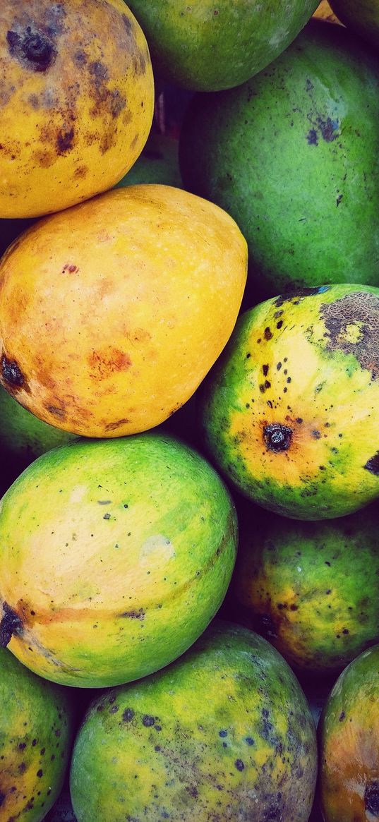 mango, fruit, yellow, green