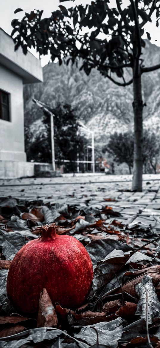 pomegranate, leaves, street, mountains, red, fruit