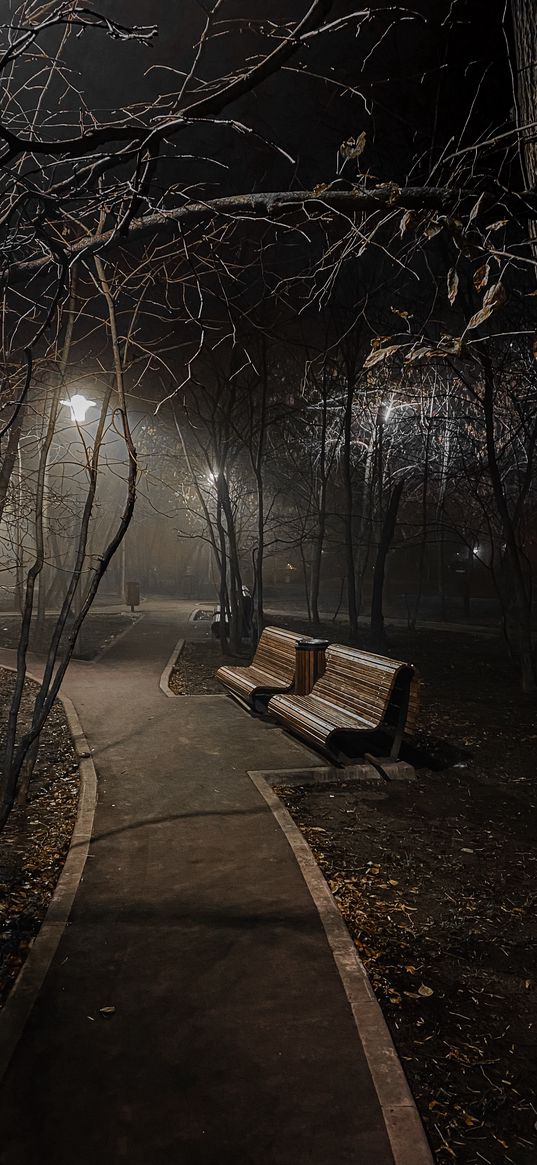 benches, lanterns, trees, park, autumn, night