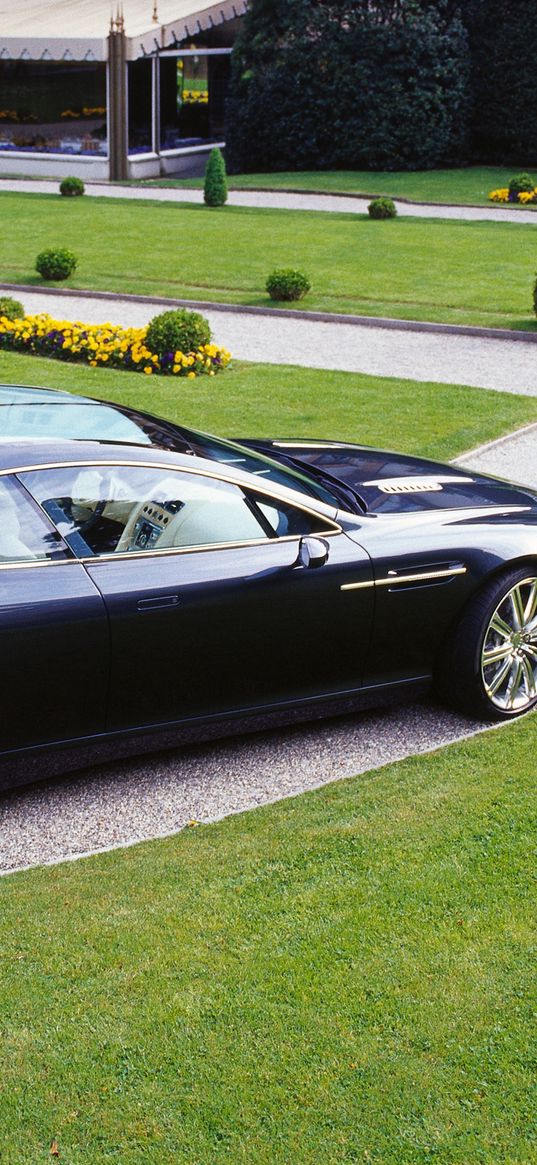 aston martin, rapide, 2006, black, side view, concept car, grass