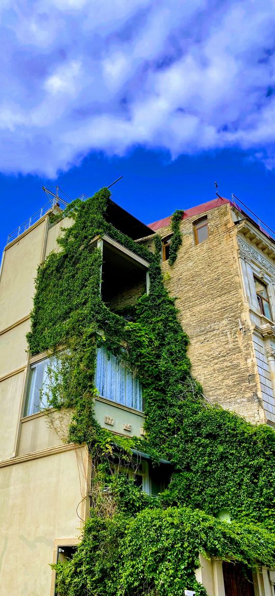 baku, building, architecture, plant