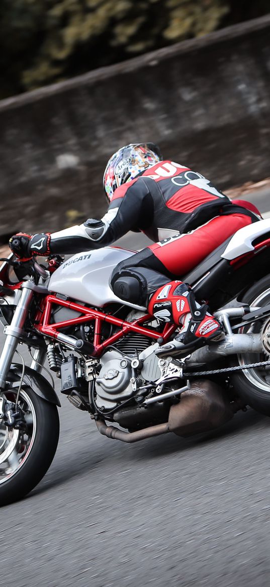 ducati monster, ducati, motorcycle, bike, motorcyclist, biker