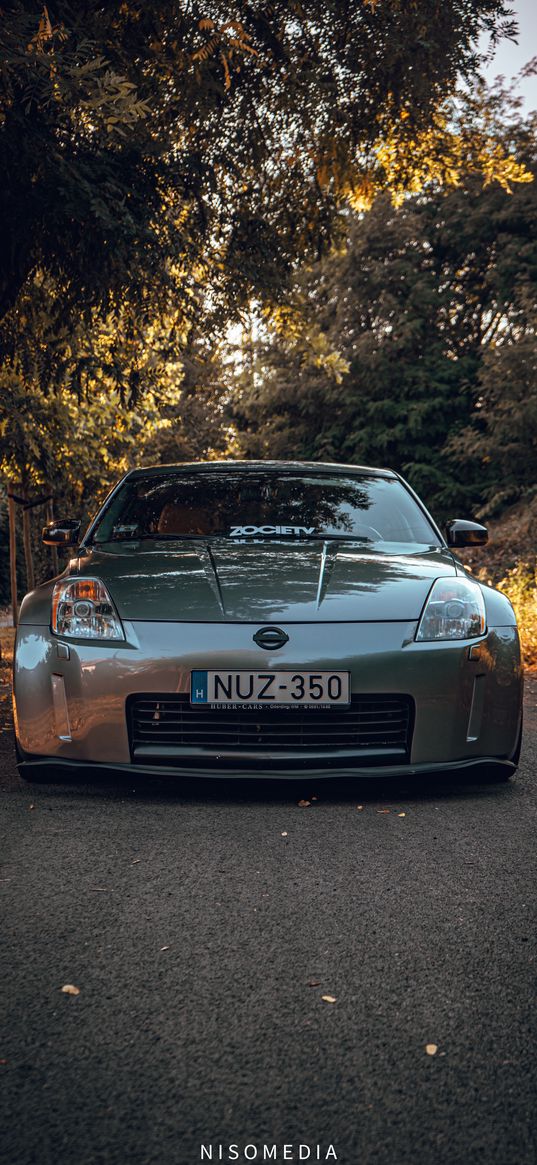 car, nissan, 350z, gray