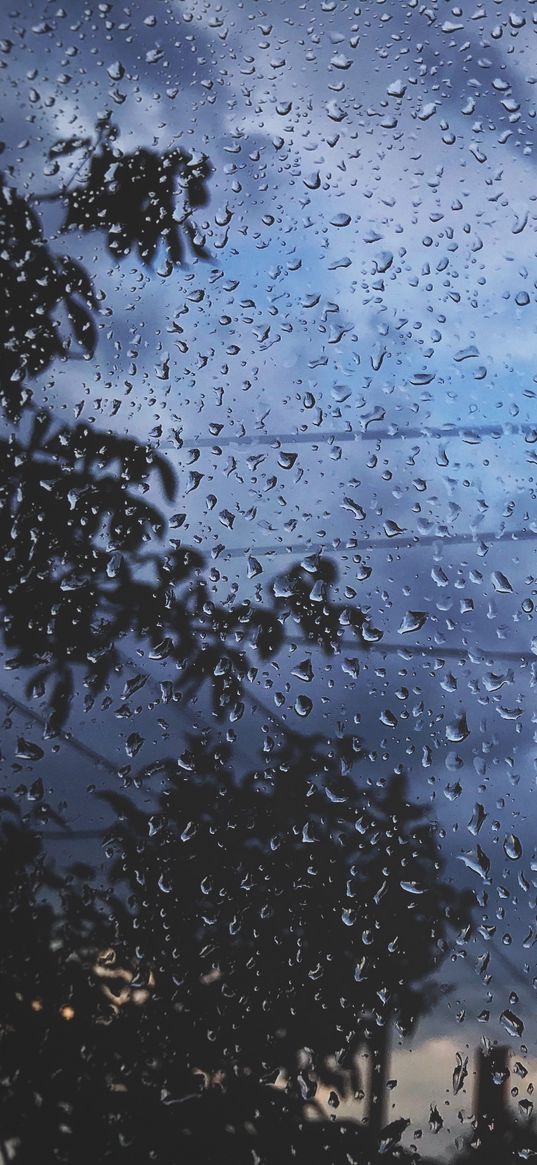 nature, atmosphere, window, drops, rain