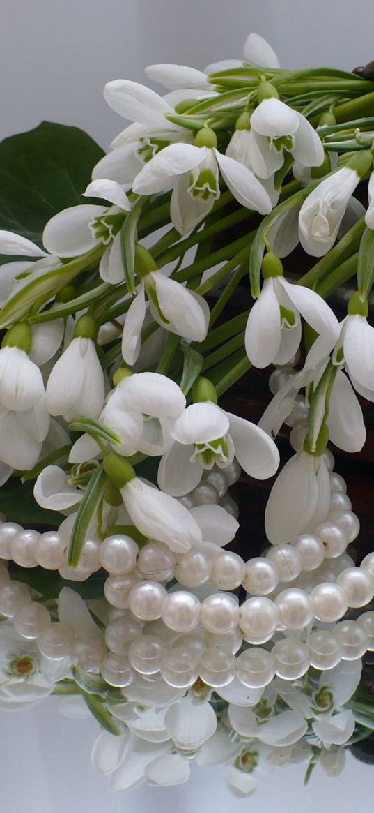 snowdrops, flowers, casket, jewelry, mirrors, reflection