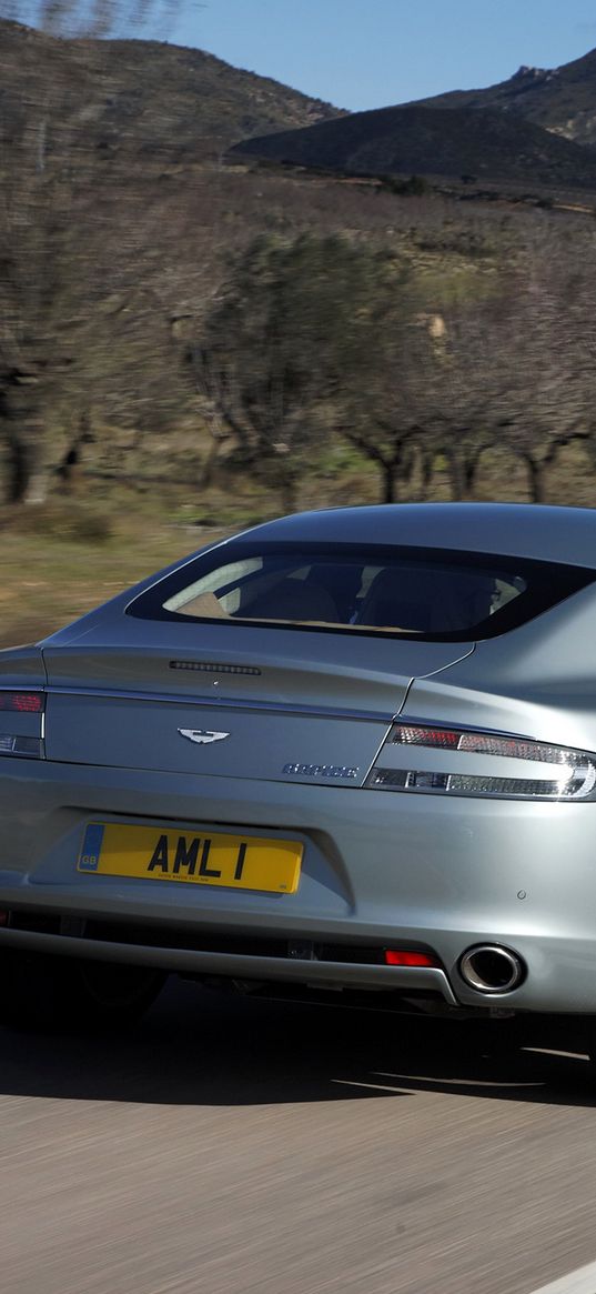 aston martin, rapide, 2009, silver, rear view, nature