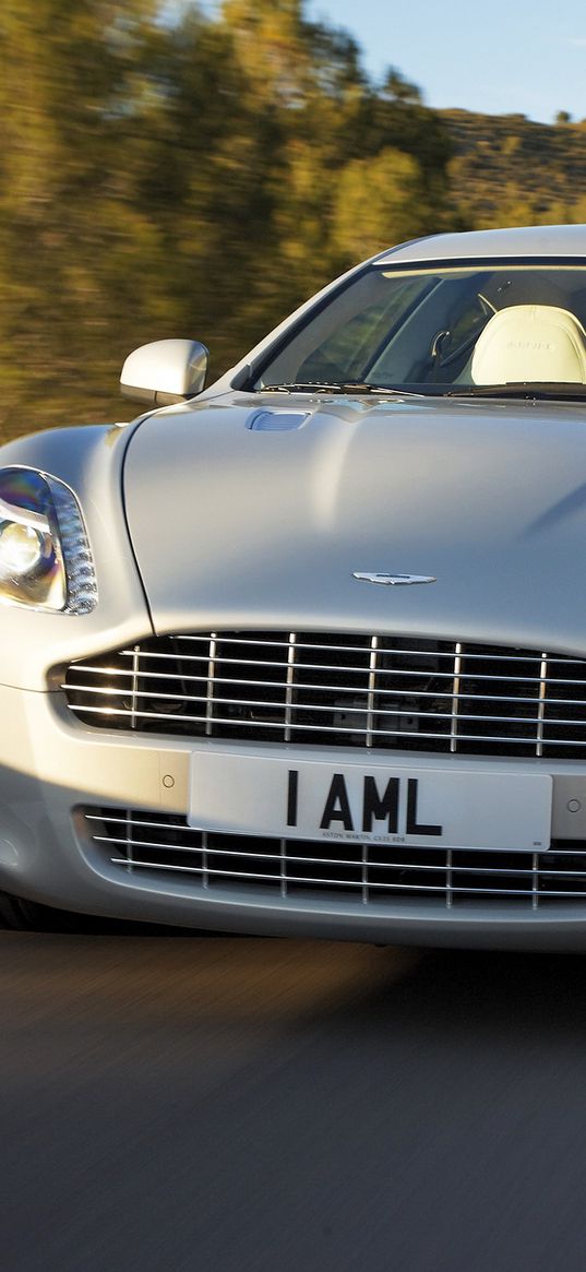 aston martin, rapide, 2009, silver, front view, cars, trees