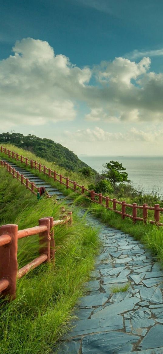 path, fence, grass, sea, clouds, nature