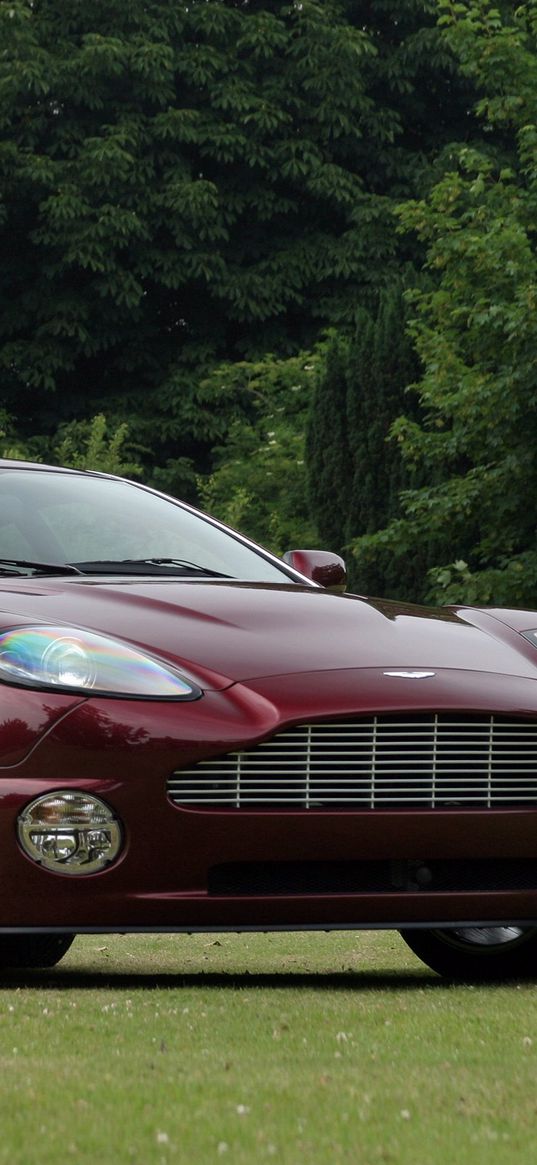 aston martin, v12, vanquish, 2001, burgundy, side view, cars, nature