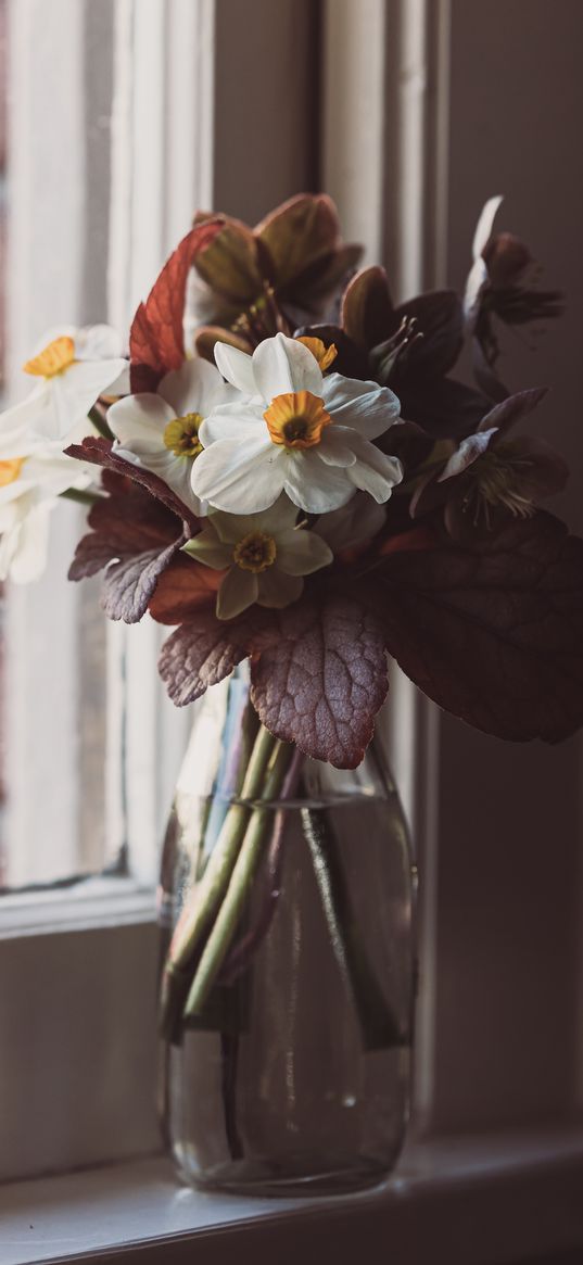 flowers, bouquet, vase, windows