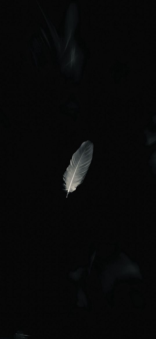 feather, white, haze, black background