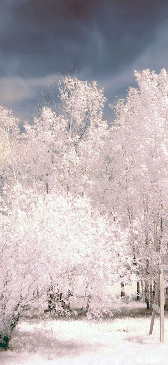 trees, winter, snow, sky, swing, hoarfrost