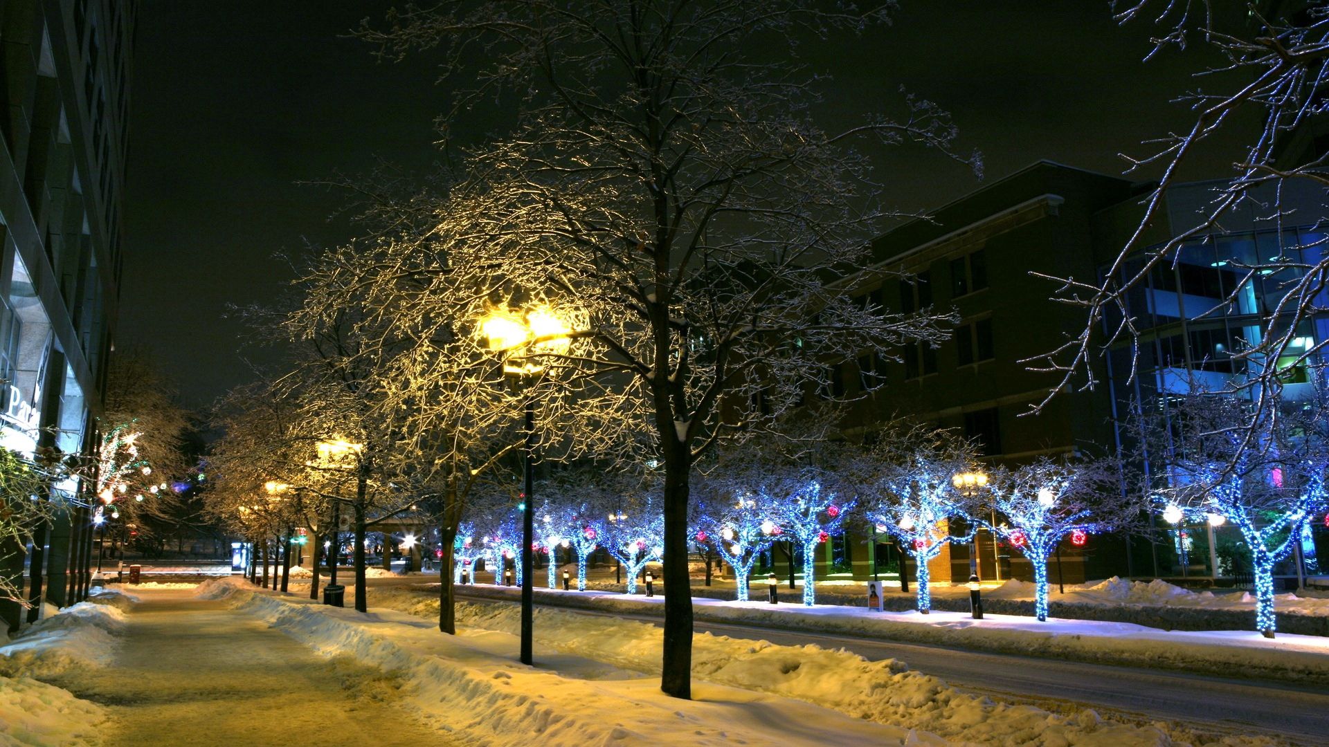 trees, park, winter, ornament, decor, street, night, city