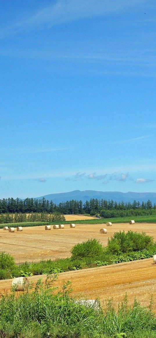 fields, economy, hay, straw, preparation, summer