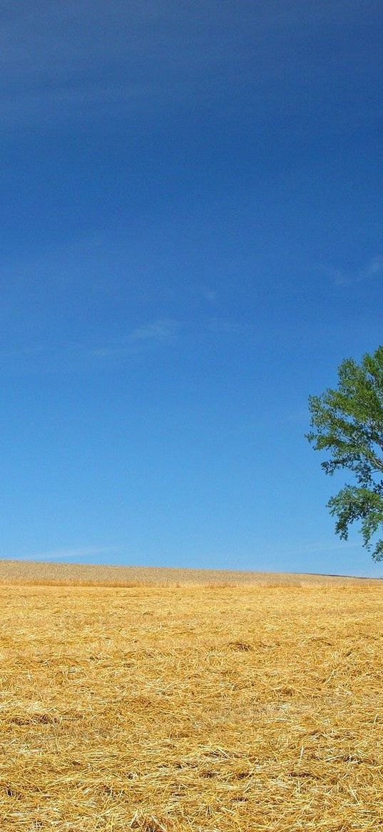 field, economy, hay, straw, preparation, summer, tree