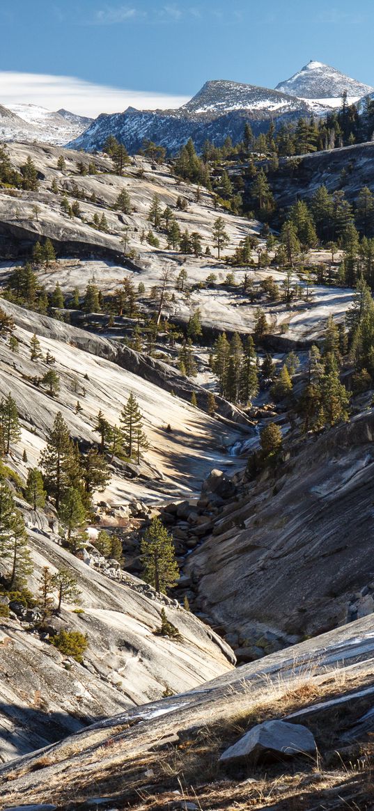 trees, slopes, mountains