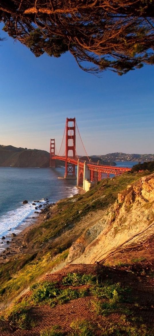 san francisco, type, city, road, golden gate, bridge, landscape, perspective