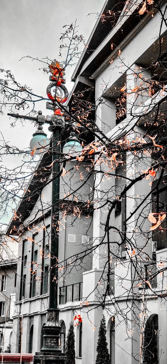 building, house, lantern, architecture, tree, autumn, city