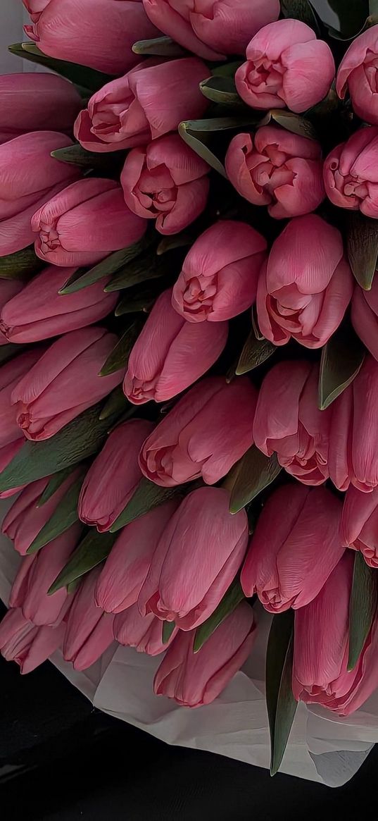 tulips, flowers, pink, bouquet, car