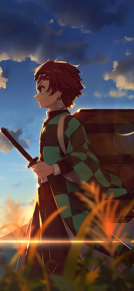 tanjiro kamado, demon slayer, anime, guy, warrior, katana, grass, box, clouds, art