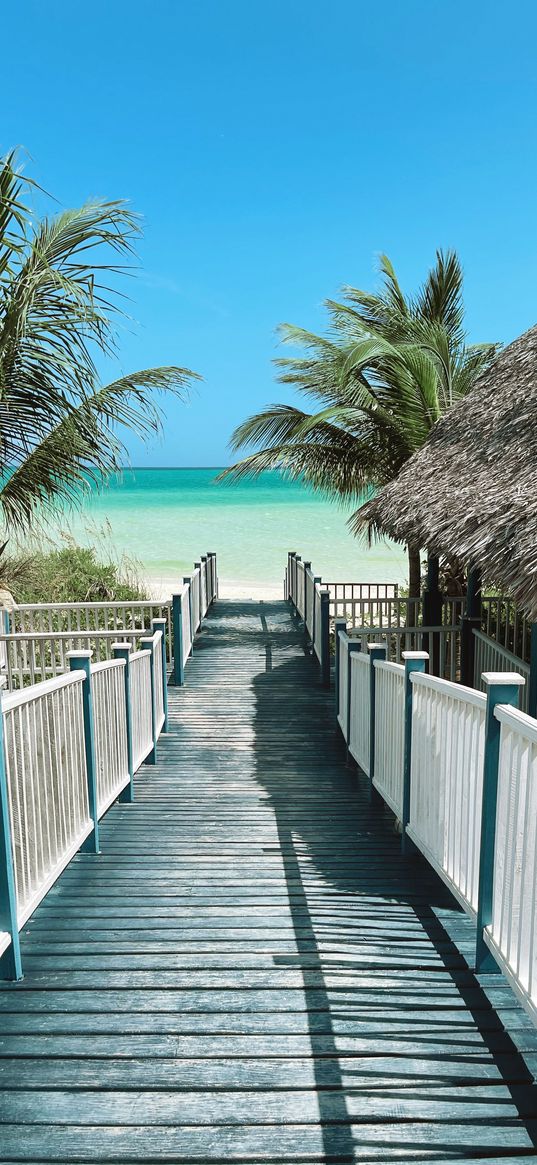 sea, palm trees, house, bridge, beach, resort