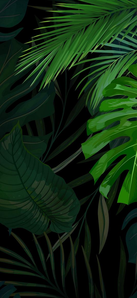 leaves, plants, jungle, green, black background, graphics