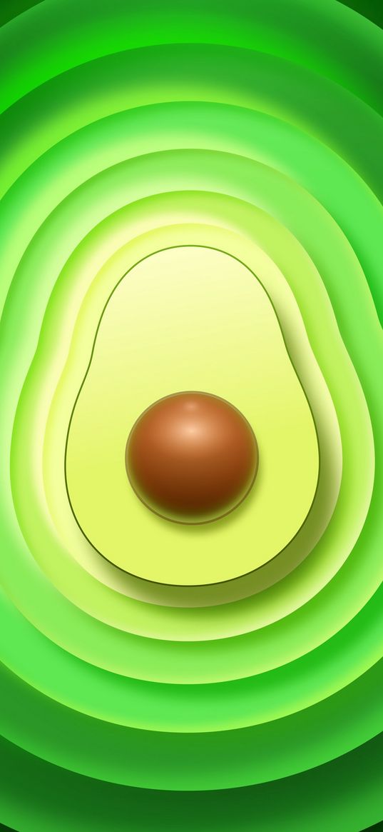 avocado, fruit, green, art