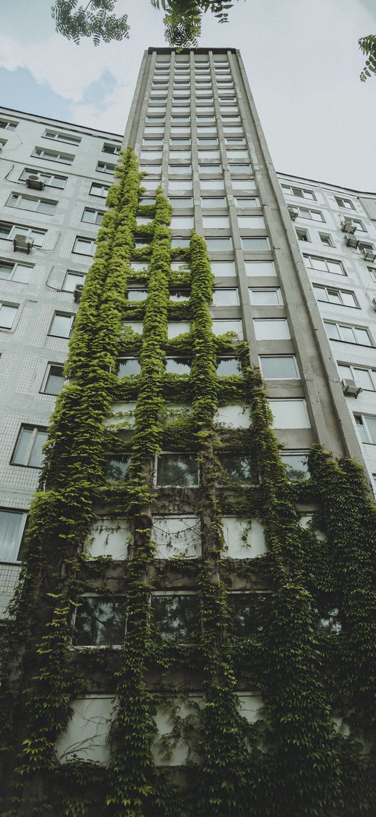 building, architecture, greenery, kiev, ukraine