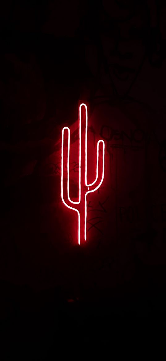 neon, red, cactus, wall, inscriptions