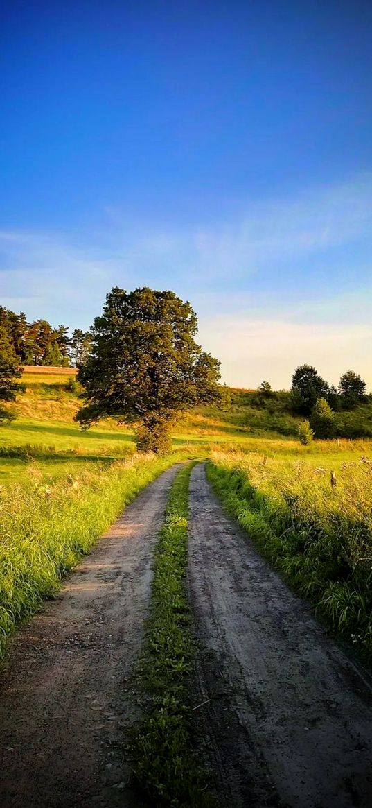 path, grass, tree, day