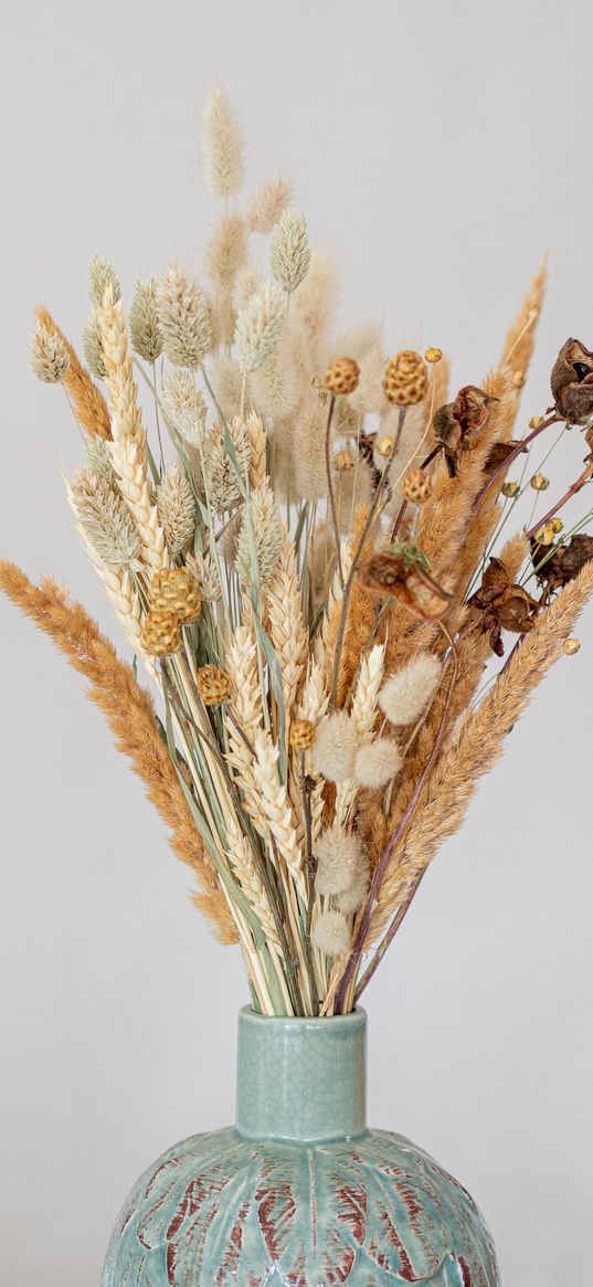 dried flowers, flowers, bouquet, vase