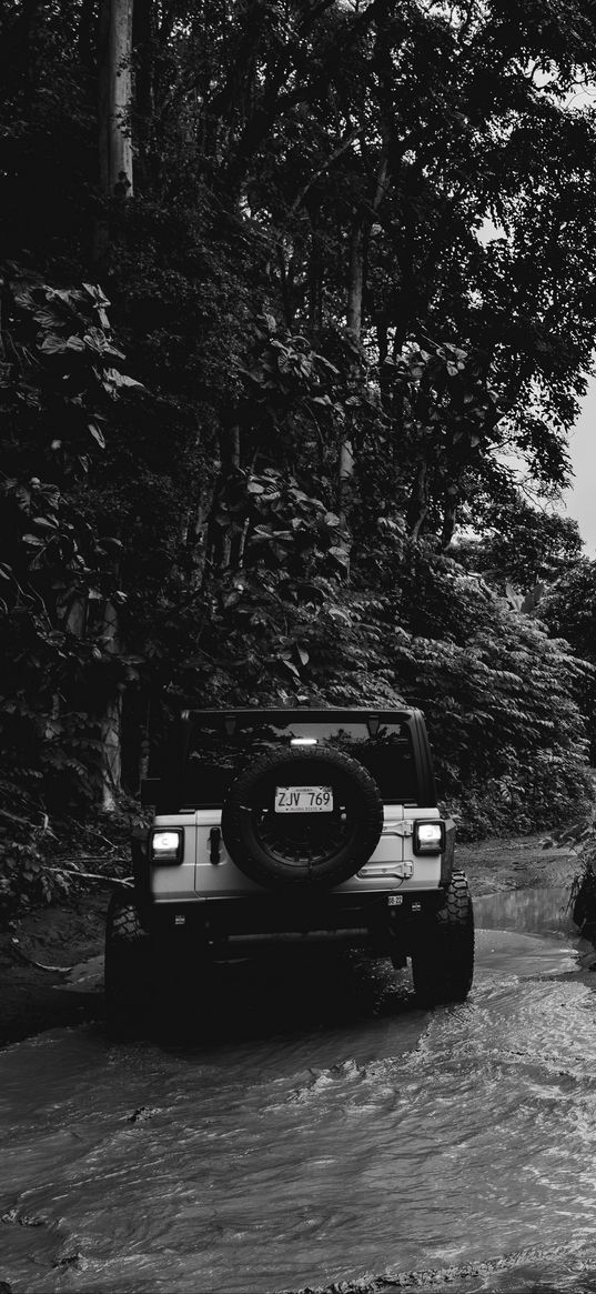 jeep wrangler, jeep, car, suv, black and white