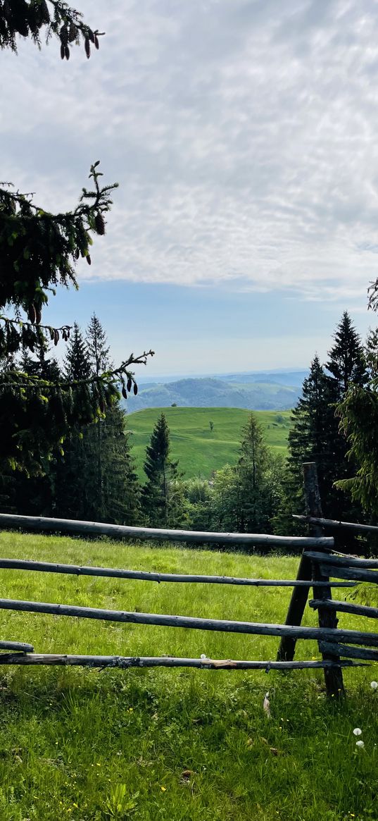 meadow, paddock, grass, trees, hills, nature