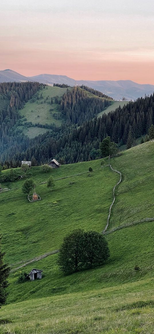 field, hills, trees, forest, farm, mountains, sunset, nature