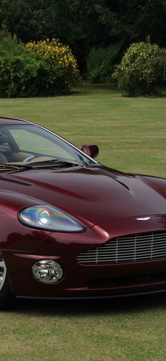 aston martin, v12, vanquish, 2001, burgundy, side view, style, grass