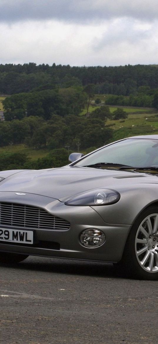 aston martin, v12, vanquish, 2001, gray, side view, cars, nature