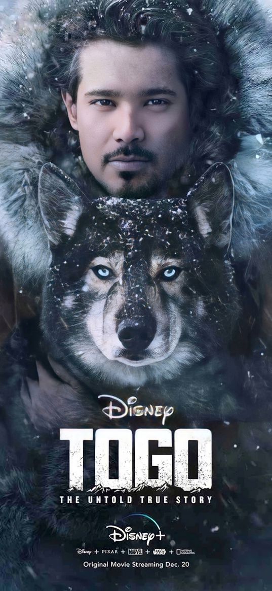 togo, movie, disney, dog, man, alaska, snow, poster