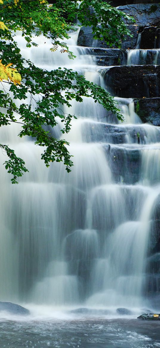 waterfalls, cascades, water, trees