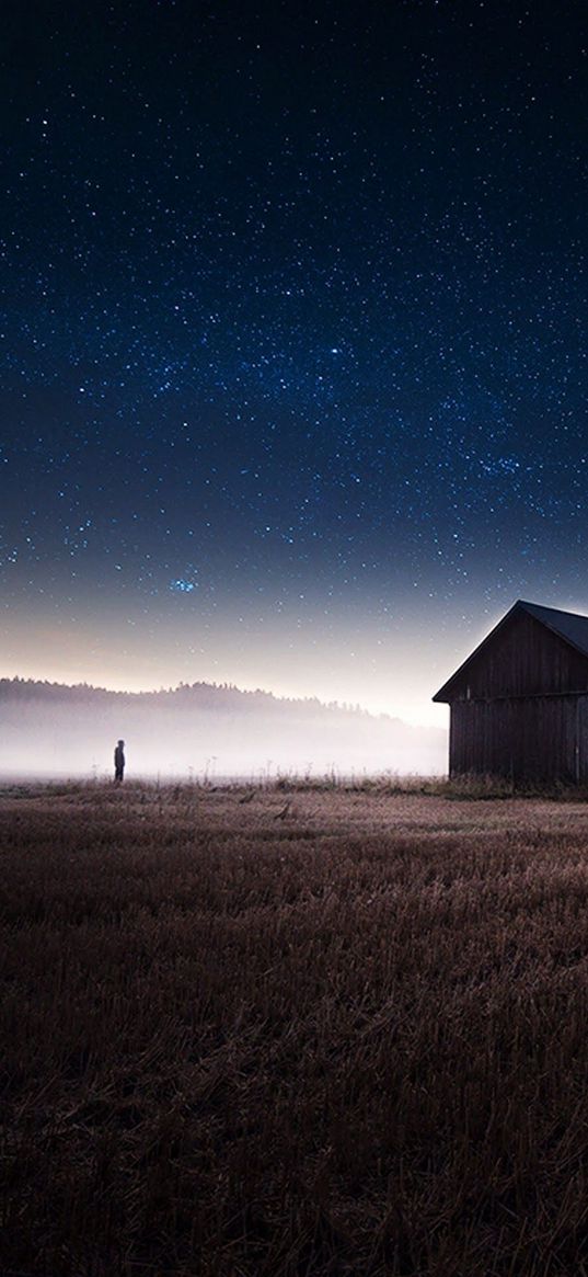 man, lonely, field, house, farm, fog, morning, starry sky