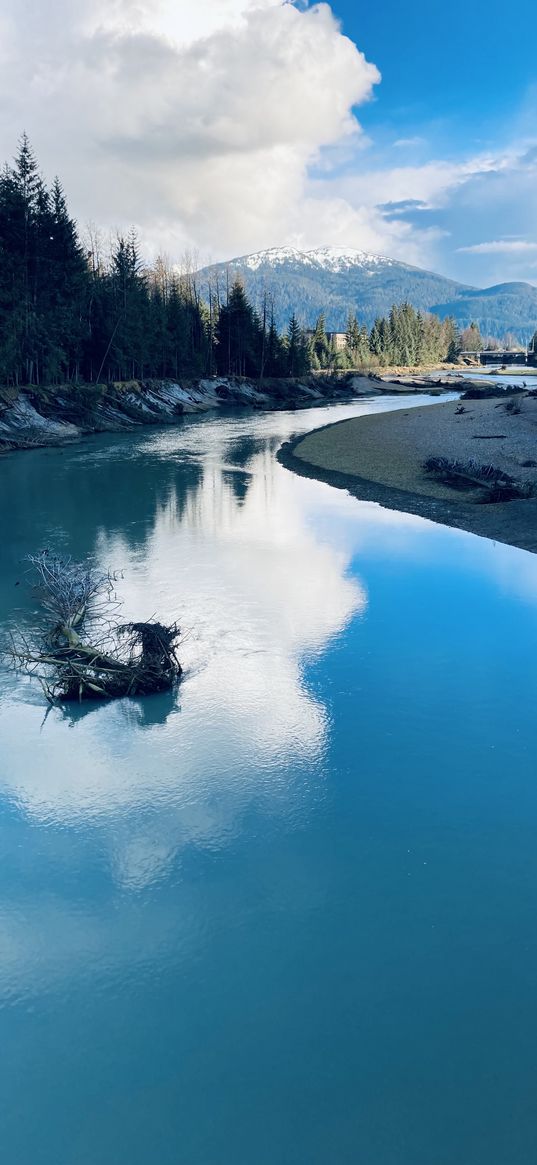 river, christmas trees, forest, mountain, clouds, sky, nature