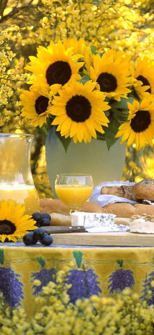 sunflowers, bouquet, vase, table, pitcher, biscuits, grapes, garden, beauty