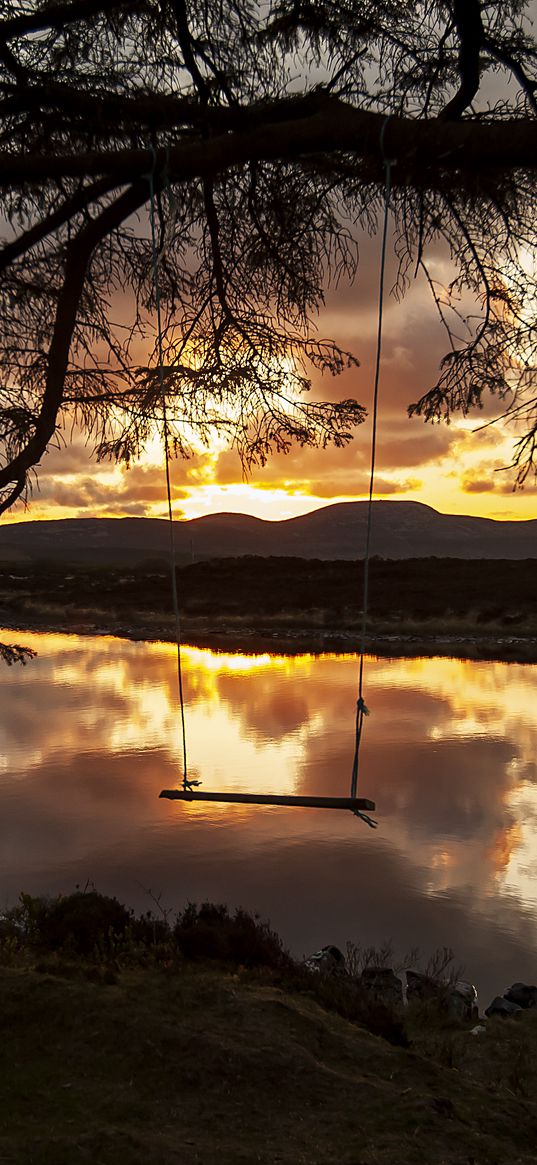 swings, river, tree, twilight