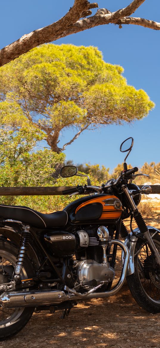 royal enfield, motorcycle, orange, tree, shadows