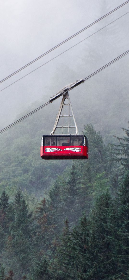 funicular, trees, forest, fog