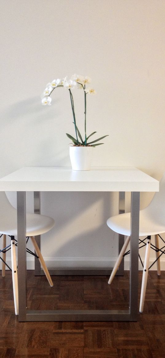 flowers, table, chairs, aesthetics, interior, white